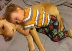 養狗千日，用在一時。。。。。